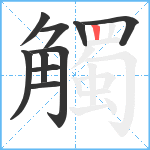 觸笔顺分解图片10