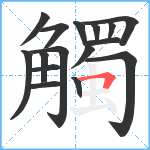 觸笔顺分解图片16