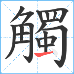 觸笔顺分解图片19