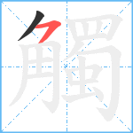 觸笔顺分解图片2