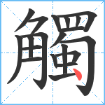 觸笔顺分解图片20