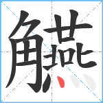 觾笔顺分解图片21