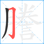 謄笔顺分解图片2