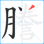 謄笔顺分解图片6