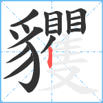 貜笔顺分解图片19