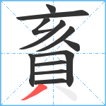 賌笔顺分解图片12