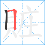 賍笔顺分解图片2