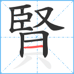 賢笔顺分解图片12