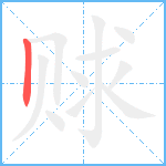 赇笔顺分解图片1