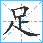 足笔顺分解图片8