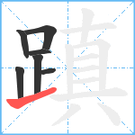 蹎笔顺分解图片7