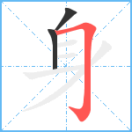 身笔顺分解图片3