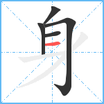身笔顺分解图片5