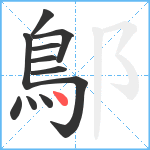 鄥笔顺分解图片11