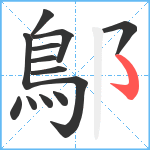 鄥笔顺分解图片13