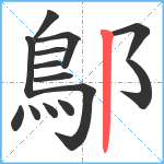 鄥笔顺分解图片14