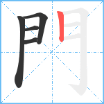 門笔顺分解图片5