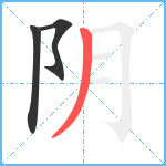 阴笔顺分解图片3