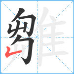 雛笔顺分解图片8