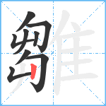 雛笔顺分解图片9