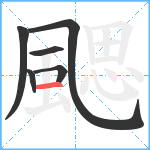 颸笔顺分解图片6