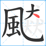 飇笔顺分解图片12