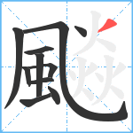 飈笔顺分解图片11