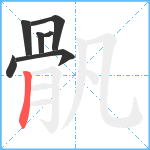 骪笔顺分解图片7