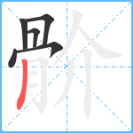 骱笔顺分解图片6
