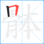 骵笔顺分解图片2