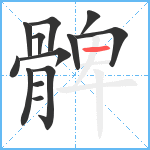 髀笔顺分解图片13