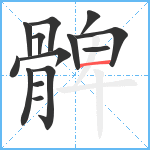 髀笔顺分解图片14