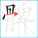 髀笔顺分解图片5