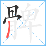 髀笔顺分解图片6