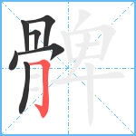 髀笔顺分解图片7