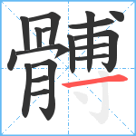 髆笔顺分解图片18