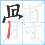 髆笔顺分解图片7