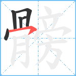 髈笔顺分解图片6