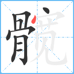 髋笔顺分解图片11