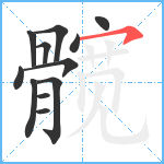 髋笔顺分解图片12