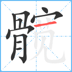 髋笔顺分解图片13