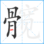 髋笔顺分解图片9