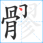 髎笔顺分解图片12