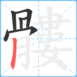 髏笔顺分解图片7