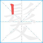 髮笔顺分解图片1