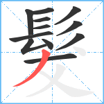 髮笔顺分解图片12