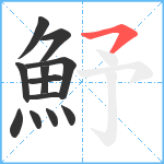 魣笔顺分解图片12