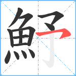 魣笔顺分解图片14