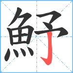 魣笔顺分解图片15