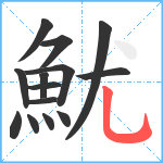 魷笔顺分解图片14